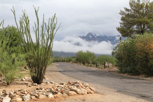 Monsoon 2013